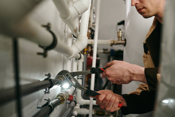 Best Shower Repair Services  in Dauphin Island, AL