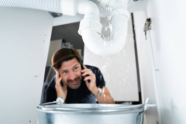 Best Plumbing Repair Near Me  in Dauphin Island, AL