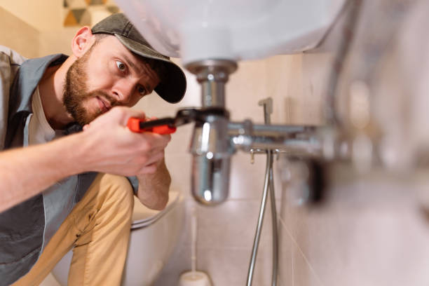 Best Local Plumber Services  in Dauphin Island, AL