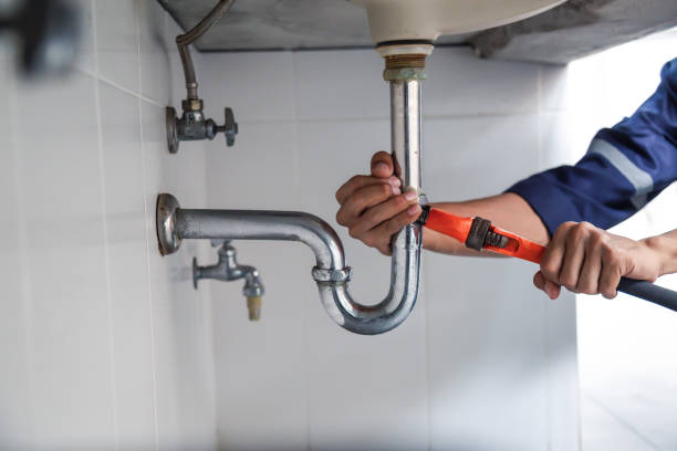 Best Plumbing Inspection Services  in Dauphin Island, AL