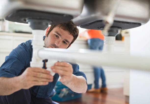 Best Affordable Plumber Near Me  in Dauphin Island, AL