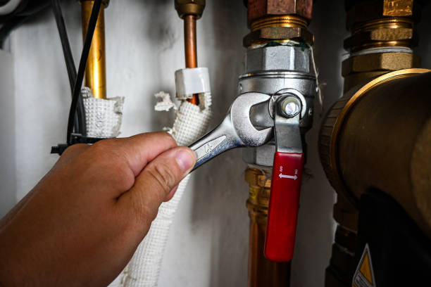 Best Water Softener Installation  in Dauphin Island, AL